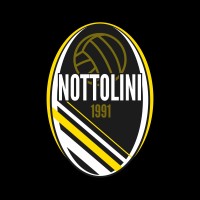 Pallavolo Nottolini Capannori logo - Similar company to Comune Di Capannori