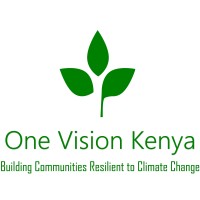 One Vision Kenya logo - Similar company to Orkey