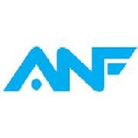 Acupuncture Now Foundation logo - Similar company to Acupuncture Seo