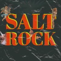 Salt Rock logo - Similar company to Or.