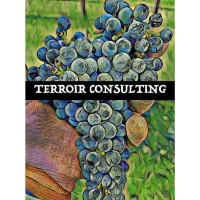 Terroir Consulting Group logo - Similar company to Genomics Education Partnership