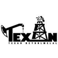 Texan Pishgam Parsian Beynolmelal logo - Similar company to Techford