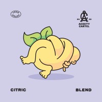 Citric Blend logo - Similar company to Solar Wine
