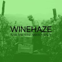 WineHaze logo - Similar company to Fischer+Trezza Import Gmbh