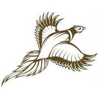 Wingspan Petro Consulting, Llc