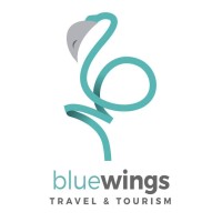 Blue Wings Travel And Tourism logo - Similar company to Multireisen Egypt