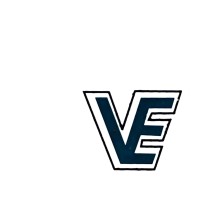 Vijaya Electronics Pvt. Ltd. logo - Similar company to Gk Expertise