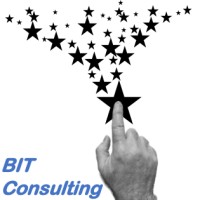 Big Impact Technology Consulting, LLC logo - Similar company to Big Impact Tech (Bit)
