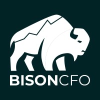 Bison CFO logo - Similar company to Tricorps