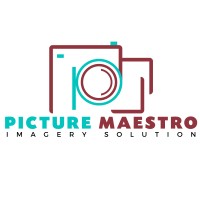 PICTURE MAESTRO Pvt. Ltd. logo - Similar company to Adspringer