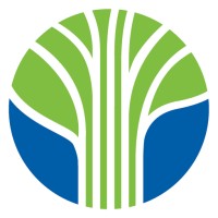 Learning Tree International logo - Similar company to Management Concepts