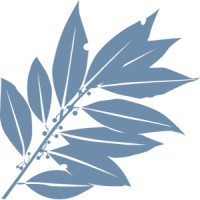 DaphnaBI logo - Similar company to Sfm Solutions Private Limited