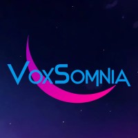VoxSomnia logo - Similar company to Gdevcon N.A.