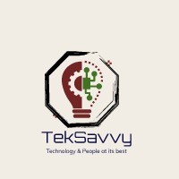 Teksavvy services llc logo - Similar company to The Bi Collaborative