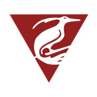 Silbervogel logo - Similar company to Burj Education