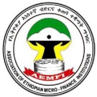 AEMFI logo - Similar company to Leanup Digital Creatives