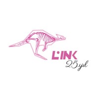 Link Medical Systems logo - Similar company to Echo Magnet Services Bv