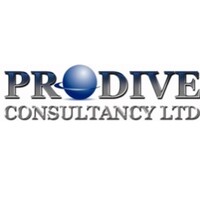 Prodive Consultancy Ltd. logo - Similar company to Prodia Ingeniería Slp