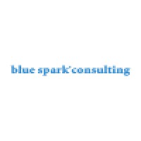 Blue Spark* Creative Services