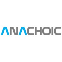 Anachoic logo - Similar company to Epiccolo Engineering