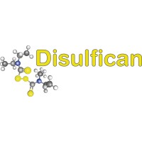 Disulfican Ltd logo - Similar company to Kargenera (Currently In Stealth Mode)
