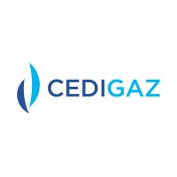 Cedigaz logo - Similar company to Deus Partners
