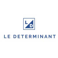 Le Determinant FZ-LLC logo - Similar company to Ilearn Consultancy Llc