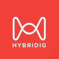 Hybridig Marketing Solutions logo - Similar company to Fragmentree Technologies