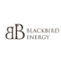 Blackbird Energy Inc.