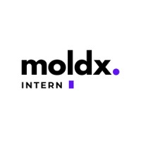 MoldX logo - Similar company to Spire Infotech