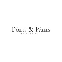 Pixels and Pixels logo - Similar company to Vijyoti