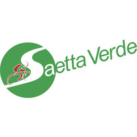 Associazione Saetta Verde logo - Similar company to Transocean System Transport