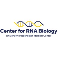 Center for RNA Biology at the University of Rochester logo - Similar company to Glycoweb