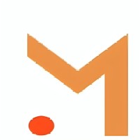 Magnum Technologies Services logo - Similar company to Smartray Solutions