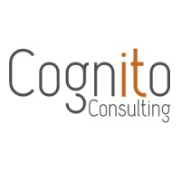 Cognito Consulting logo - Similar company to Cognito Consulting - Construction Tech Specialists