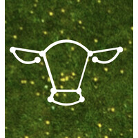 cowIA logo - Similar company to Agroninja