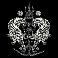 Hanuman Dynamics logo - Similar company to Lyfe'S
