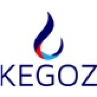 KEGOZ OILSYSTEMS LIMITED logo - Similar company to Ankor Pointe Integrated Limited
