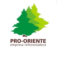Pro Oriente logo - Similar company to Lignus Sas