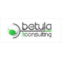 Betula IT Consulting, Ltd. logo - Similar company to Centrum Akson