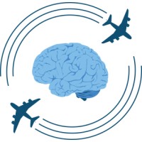 BrainyFlights.com logo - Similar company to 2 Dream Destinations