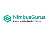 NimbusGurus Software Solutions logo - Similar company to Open Consulting Group