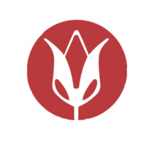 PARKINSON ASSOCIATION OF ALABAMA logo - Similar company to Parkinson'S Association Of West Michigan