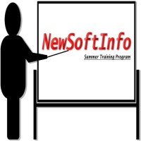 NewSoftInfo logo - Similar company to Intern Jet