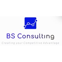 BS Consulting logo - Similar company to Bs Consulting