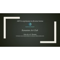 Romanian Art Club logo - Similar company to Private Contractor