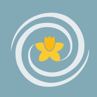 Amealiore logo - Similar company to Thought Partnerships