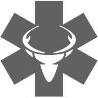 Tundra Rescue logo - Similar company to Rsi Risk Solutions International