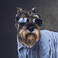 PIP Printing Hereford logo - Similar company to Hereford Cathedral