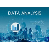 Data Investigations logo - Similar company to Marketblitz Dynamics